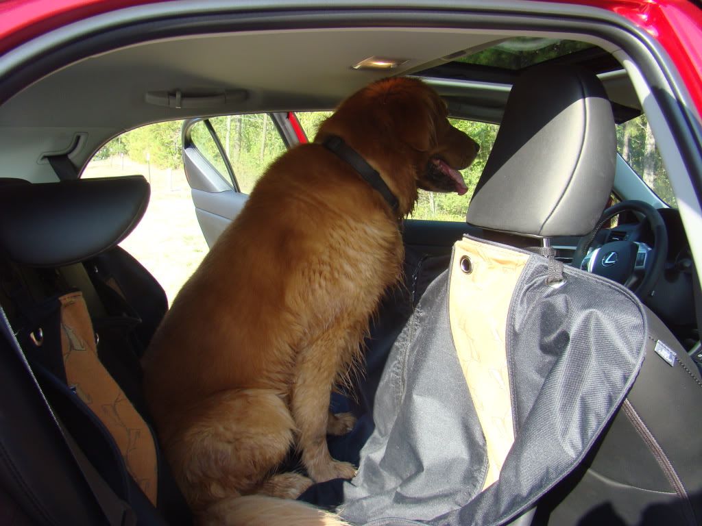 Nuluxe vs. Leather and Cargo Room Lexus CT200h Forums